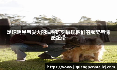 QY球友会